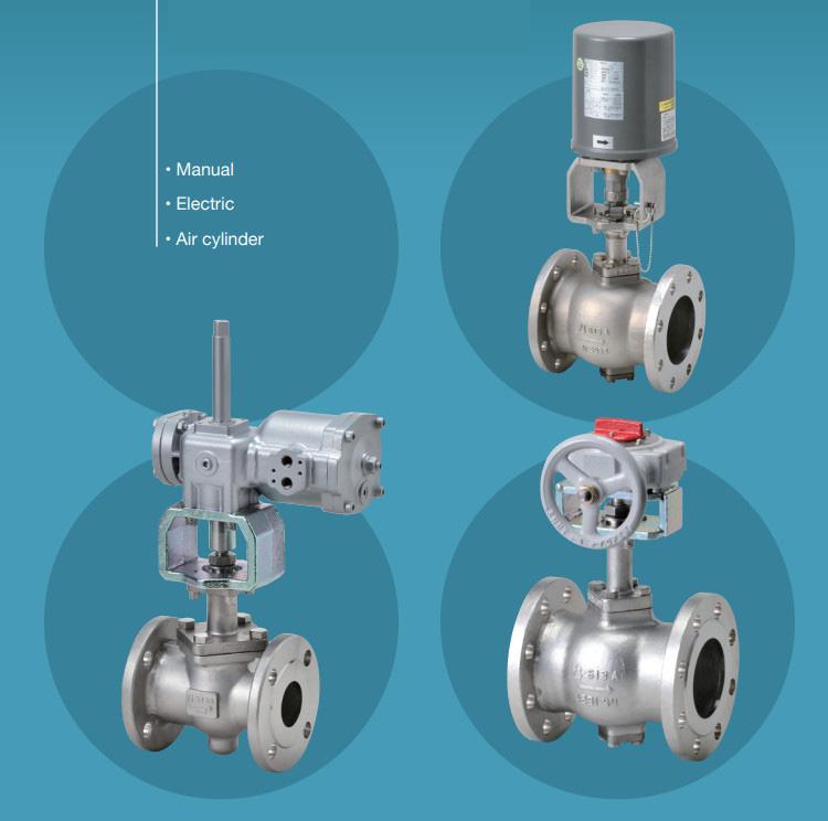 itachi valves